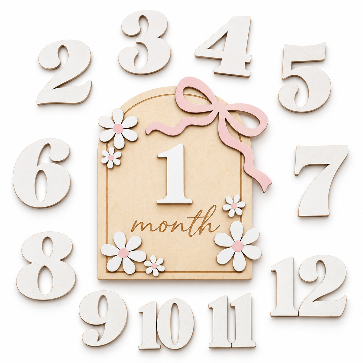 First Year Milestone Plaque Set