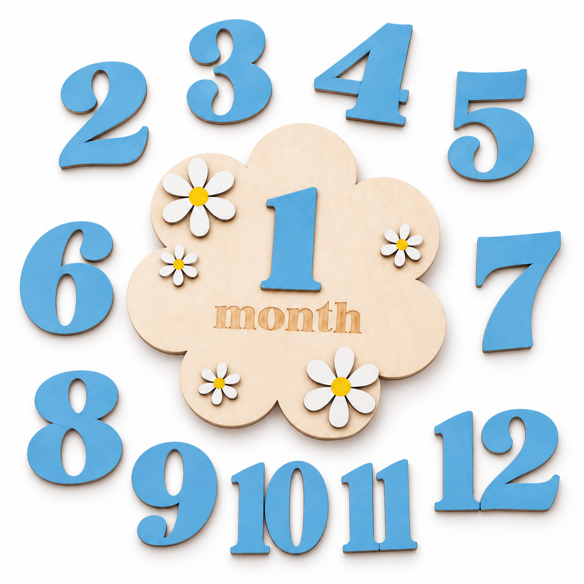 First Year Milestone Plaque Set