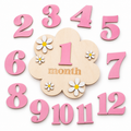 First Year Milestone Plaque Set
