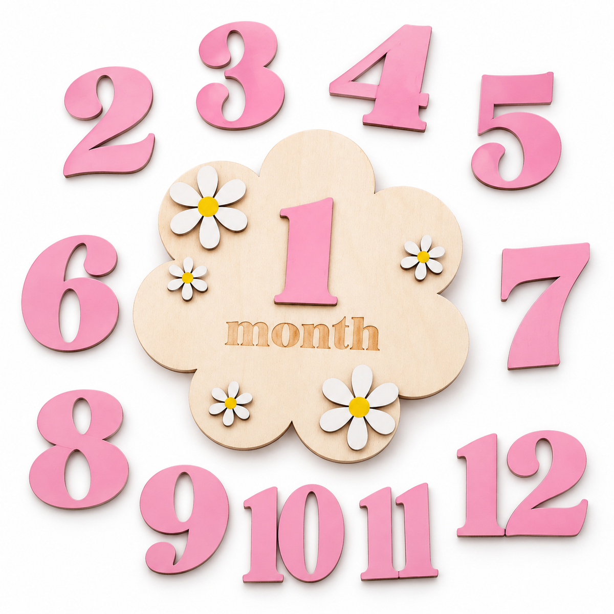 First Year Milestone Plaque Set